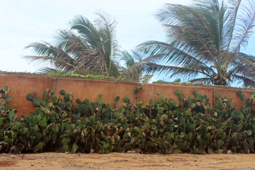 Togoische Einbruchsicherung