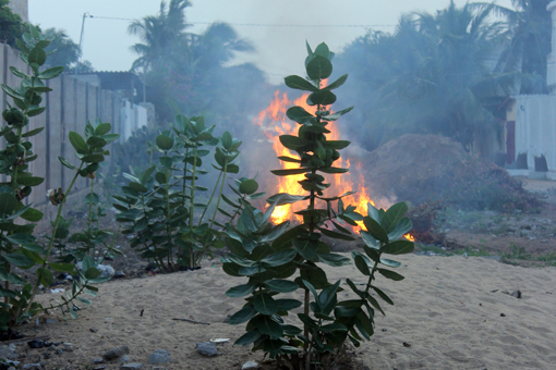 Osterfeuer aus prima Müll