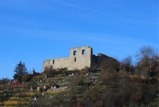 Die Urine in Untermberg