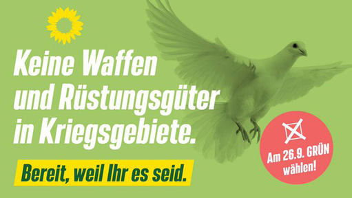 Keine Waffen - sagen die Grünen