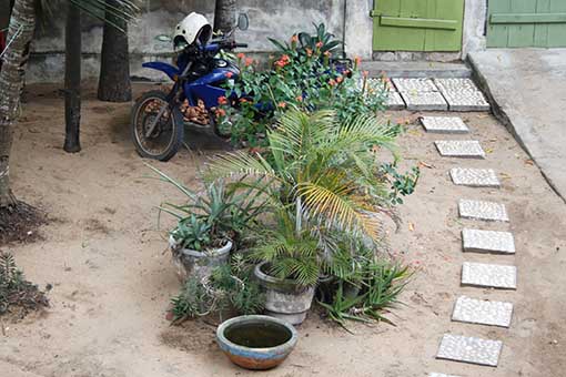 Völlig belangloser Blick in den Garten