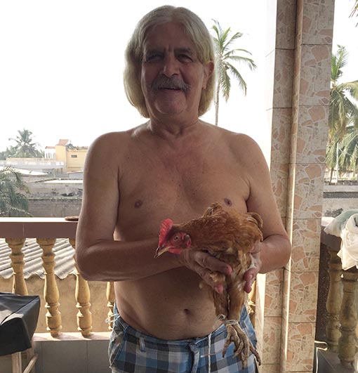 Huhn vom Pastor - es weihnachtet sehr Huhn vom Pastor