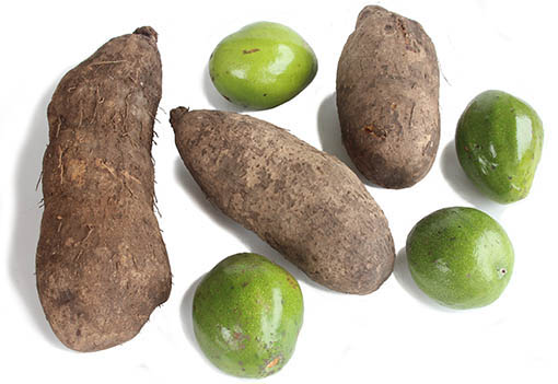 Ein Geschenk der togoischen Natur und letzlich an Peter Avocados Yam