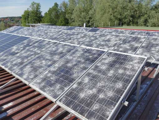 Solarpaneelen nach Hagelsturm