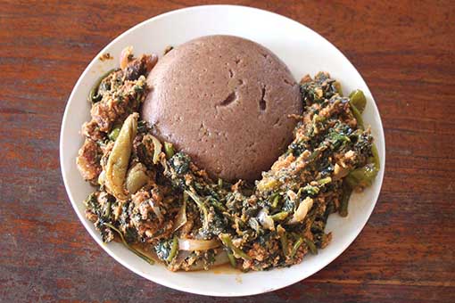 Sorghum_Gboma